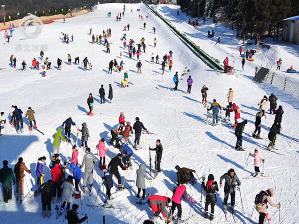滑雪場建設公司