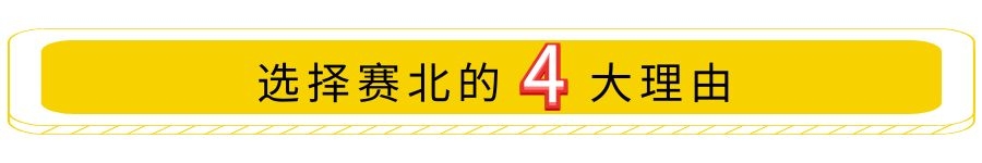 專(zhuān)業(yè)冰雕制作