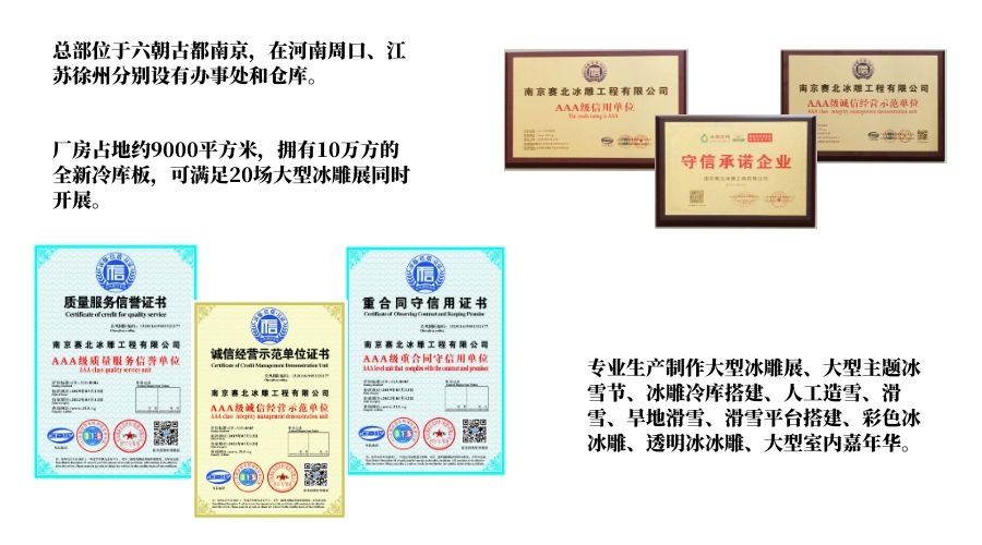 專(zhuān)業(yè)冰雕制作